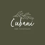 Cubani