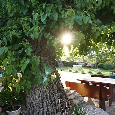 Bed & Breakfast Cubani 4*