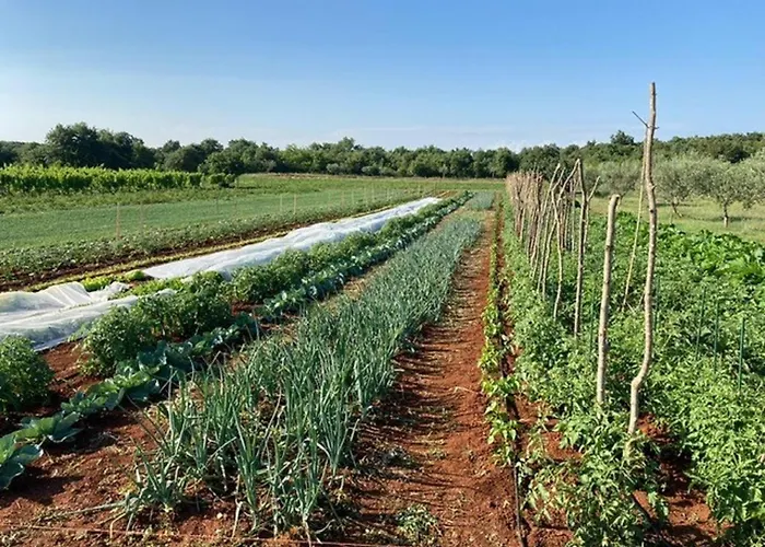 Cubani Bed & Breakfast Bale