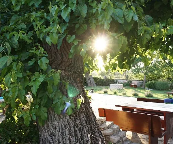 Bed & Breakfast Cubani 4*