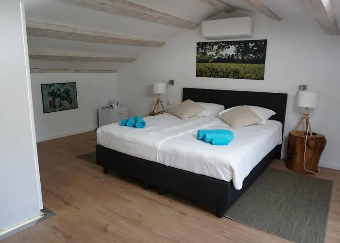 Bed & Breakfast Cubani Bale