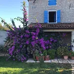 Cubani