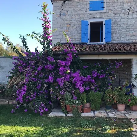 Cubani