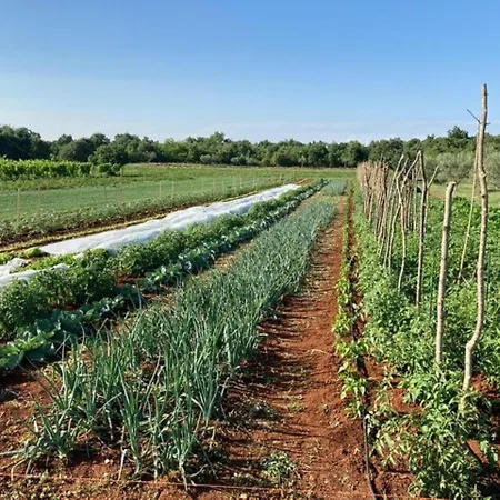 Cubani Bed & Breakfast Bale