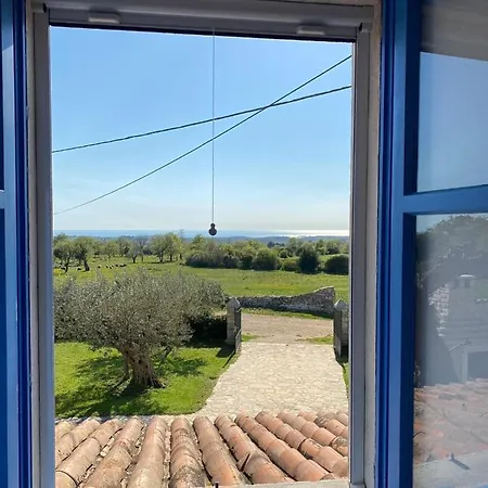 Bed & Breakfast Cubani
