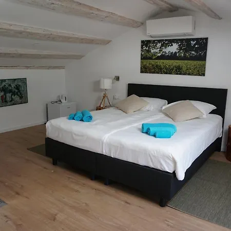 Bed & Breakfast Cubani Bale