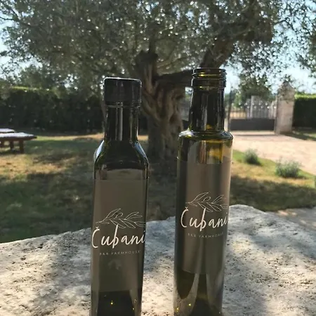 Cubani Bed & Breakfast